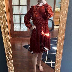 Banana  Republic velvet burnout dress